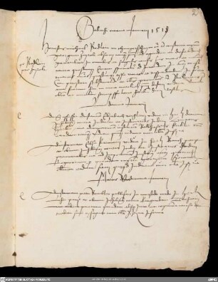Protocollum curiae episcopalis Herbipolensis 1519