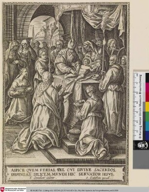 Aspice quem ferias, vel cui divine sacerdos, impingas silicem, mundi hic servator iesus; [Jesus Beschneidung]