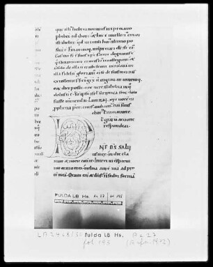 Augustinus, Enarrationes in Psalmos 51-100 — Initiale D, Folio 195 recto