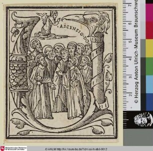 Initiale U mit der Himmelfahrt Christi