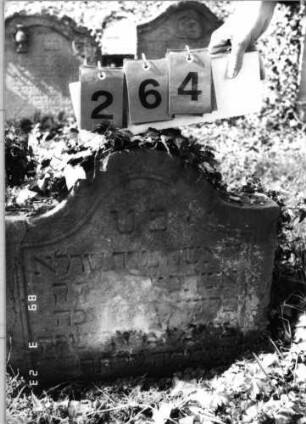 Grabstein 264 (Index: 99791632) Material: Sandstein Zustand: verwittert mit Textverlust, Stele eingesunken Maße HxBxT: 54x56x10 cm Beschreibung: Stele, Konvexbogenabschluß, Schriftfeld eingetieft: Grabstein 264