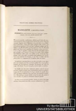 Traité des arbres fruitiers. Madeleine a moyenne fleur. Persica subcursonia, flore medio, fructu magno, paululum compresso, cortice rubro ; glandulis petiolorum nullis.