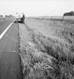 Mord an Brigitte Wetzenstein-Ollenschläger: Bundesautobahn A 1 bei Reinfeld: Leichenfundort im Graben neben Seitenstreifen am 19. August 1972: vorn Reifenspuren im Gras und auf der Fahrbahn: hinten links drei Männer am Straßenrand vor Polizeifahrzeug: hinten Getreidefeld und Bäume