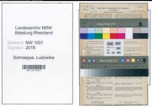 Entnazifizierung Ludowika Schroeppe, geb. 04.04.1886 (Ordensschwester)