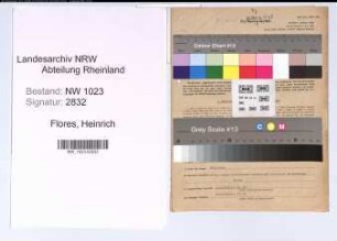 Entnazifizierung Heinrich Flores , geb. 02.08.1895 (Kaufmann)