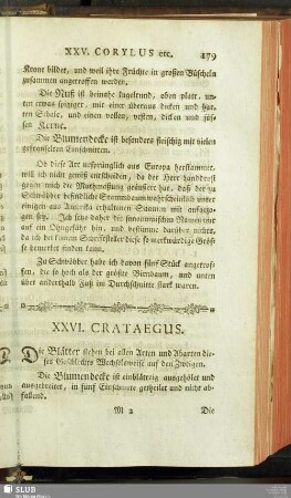 XXVI. Crataegus