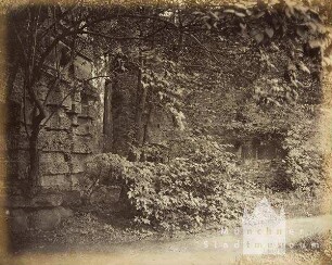 Mittelgrundstudie: Partie mit Mauer und Weg im Schlosspark