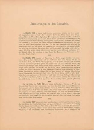 Erläuterungen zu den Bildtafeln