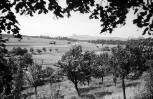 Aach: Hegaulandschaft
