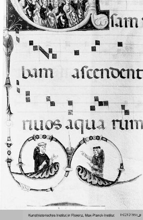 Antiphonar : Textseite mit Randseitenbordüre mit Drolerien, vierzeiligen Neumen und historisierter Initiale