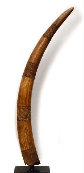 Elephant tooth with braided ribbon motif