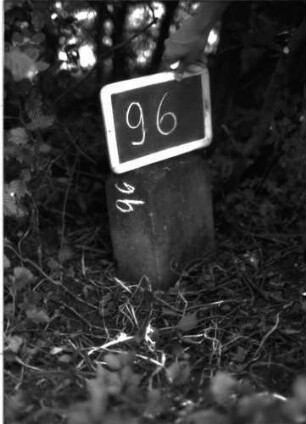 Grabstein 96 (Index: 100100775) Material: Sandstein Zustand: verwittert Maße HxBxT: 28x22x13 cm Beschreibung: rechteckige Stele Besonderheit: Kindergrab: Grabstein 96