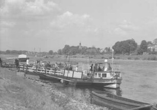 Dresden. Anlegestelle der Fähre Kleinzschachwitz-Pillnitz mit Motorfährboot : Dresden-Kleinzschachwitz, Motorfährboot, Anlegestelle