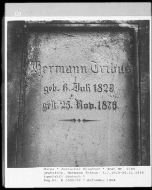 Grabstein von Hermann Tribus (gestorben 1876.11.25)