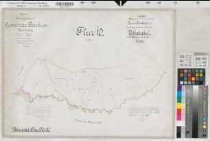 Voßwinkel (Arnsberg), Separation Voßwinkel, Bl. 7 Brouillonkarte Bachum Flur 10