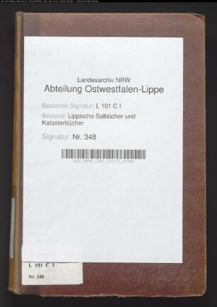 Salbuch der Stadt Lemgo von 1861, Bd. 5 (Duplikat)