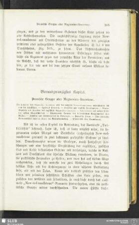 Vierundzwanzigstes Kapitel. Permische Gruppe oder Magnesian-limestone