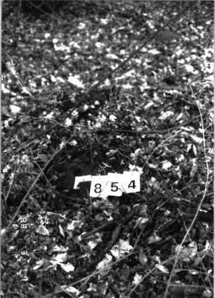 Grabstein 854