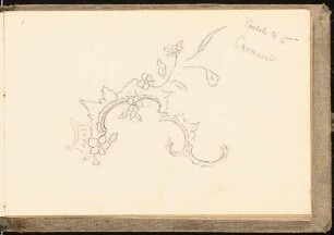 Skizzenbuch mit Aquarellen und Zeichnungen: Roncaille mit Blüten