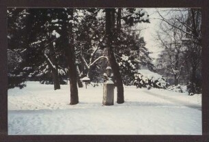 Schlossplatz mit Brahmsdenkmal Winteraufnahme. Detmold. Schlossplatz. Papierabzug von Dia