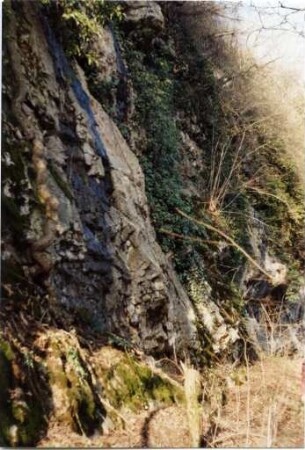 Am Ölberg