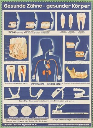 "Gesunde Zähne - gesunder Körper"