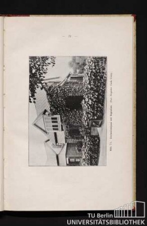 Abb. 7b. Einfamilienhaus mit Vegetation.