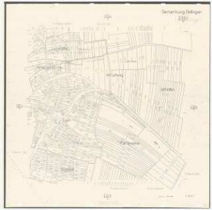 Landschaftsaufbauplanung Bellingen: Gemarkung Bellingen 1:1000