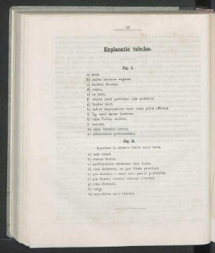 Explanatio tabulae.
