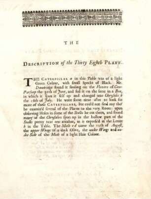 The Description of the Thirty Eighth Plate