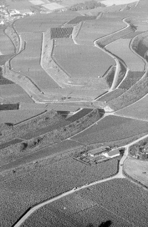 Bahlingen: Rebstrukturen