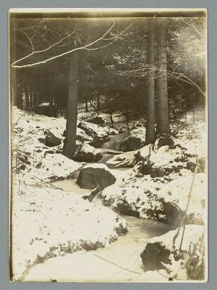 Waldbach zu Eis erstarrt bei Lunzenau
