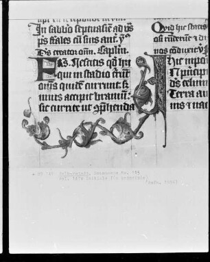 Brevier, Ms. 115, folio 147 verso, Initiale I(n principio)