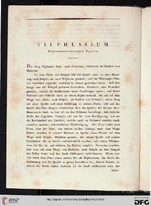 Tilphussium: Siebenundzwanzigste Platte