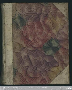 Duorum Theologorum Orthodoxorum Lutheranorum Iudicia, De Gratiae Revocatricis Termino Ad Illustriss., Dn. N. N.