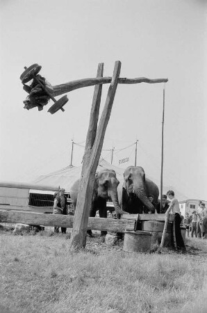 Schausteller mit Elefanten an einem Ziehbrunnen