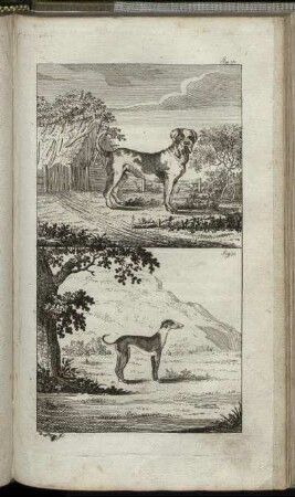 Fig. 30. - Fig. 31.