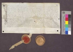 Kaufbrief des Ulrich Arnold, Bürgers zu Buggingen, für Ulrich Mögglin daselbst über Matten zu Seefelden.