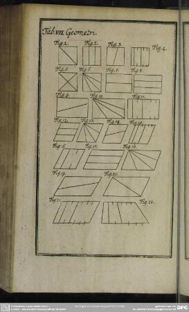 Tab. VII. Geometri