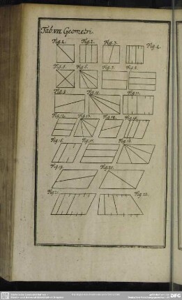 Tab. VII. Geometri