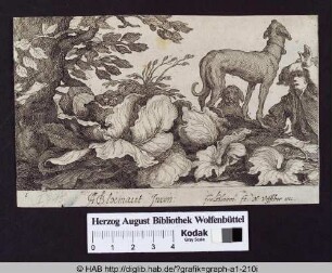 Die Jagd auf den Hasen.