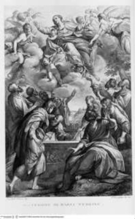 La Pinacoteca della Pontificia Accademia delle Belle Arti in Bologna pubblicata da Francesco Rosaspina Professore nell'Accademia sudetta, Bologna MDCCCXXX presso l'Autore, Tafel 9: Mariä Himmelfahrt