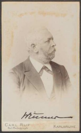 Wittmer, Heinrich August, Nationalliberale