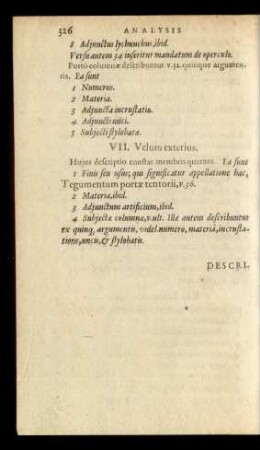 VII. Velum exterius.