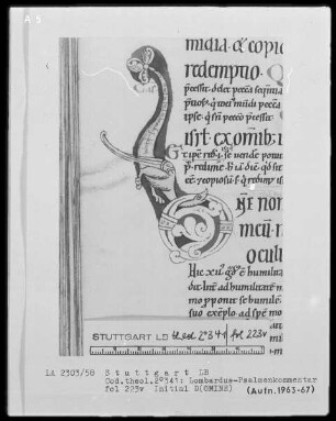 Petrus Lombardus, Psalmenkommentar — Initiale D (omine) mit einem Drachen, Folio 223verso