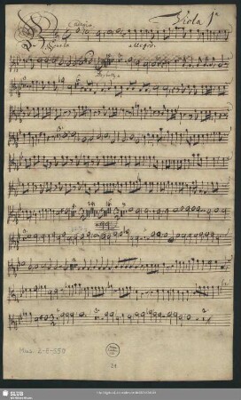 Viola 1[m]a