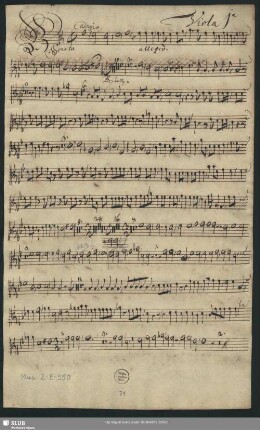 Viola 1[m]a