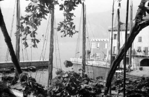 Malcesine: Gardasee, Hafen vom Balkon durch Weinreben