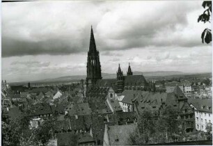 Das Freiburger Münster