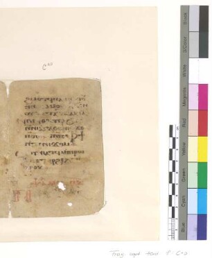 Sext Ps. LXXXIII, 12 - end + Ps. LXXXIV, 1 -4